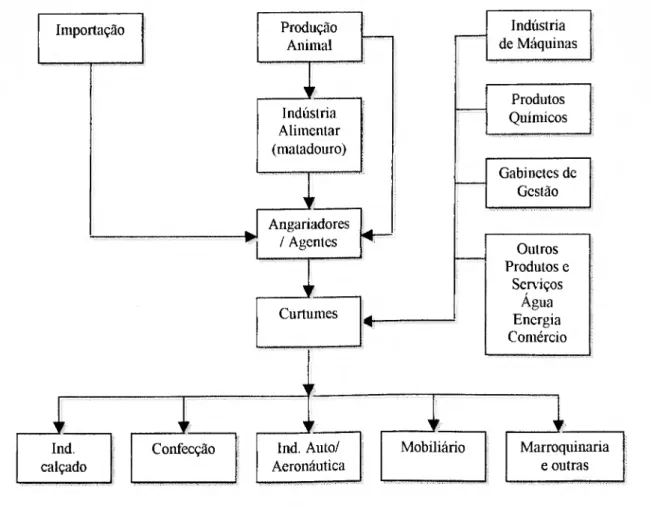Figura 3 - Indústria de curtumes e sua fileira, relação com actividades a montante e a jusante 
