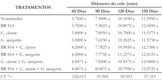 Tabela 4. —  Diâmetro do colo de mudas de Leucaena leucocephala aos 60, 90, 120 e 150 dias  após a semeadura, inoculadas com  Bradyrhizobium e fungos micorrízicos arbusculares, em  Neossolo Litólico não esterilizado.