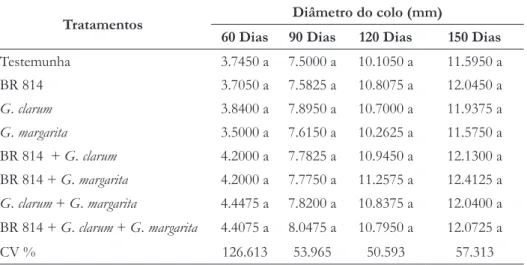 Tabela 4. — Diâmetro do colo de mudas de Leucaena leucocephala aos 60, 90, 120 e 150 dias  após a semeadura, inoculadas com  Bradyrhizobium e fungos micorrízicos arbusculares, em  Neossolo Litólico não esterilizado.