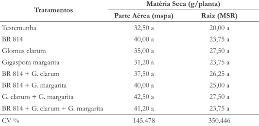 Tabela 5. —  Matéria seca da parte aérea (MSPA) e da raiz (MSR) de mudas de Leucaena  leucocephala  aos 150 dias após a semeadura, inoculadas com  Bradyrhizobium e fungos micorrízicos  arbusculares, em Neossolo Litólico não esterilizado.