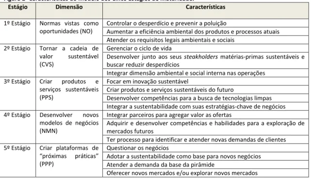 Figura 2- Características do Modelo dos Cinco Estágios de Maturidade.  