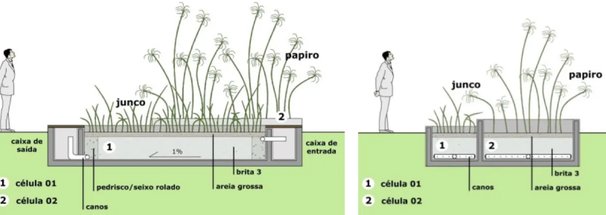 Figura 4: Cortes esquemáticos do sistema de wetlands construídos 