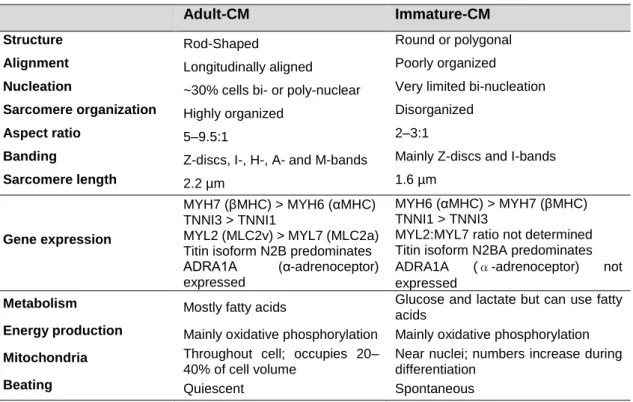 Table 1.1 – Structural, gene expression and energy related characteristics in adult and immature- immature-like CMs