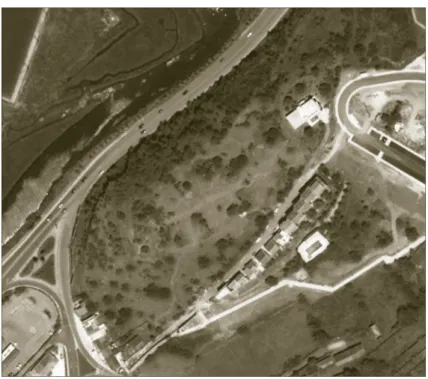 Fig. 4. Vista aérea de Monte Molião