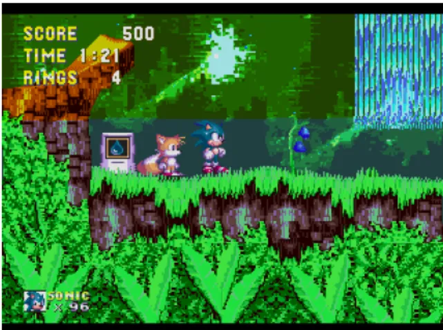 Figure 3.2: The first level of Sonic the Hedgehog 3. The underwater area has a ripple effect not visible in this static picture.