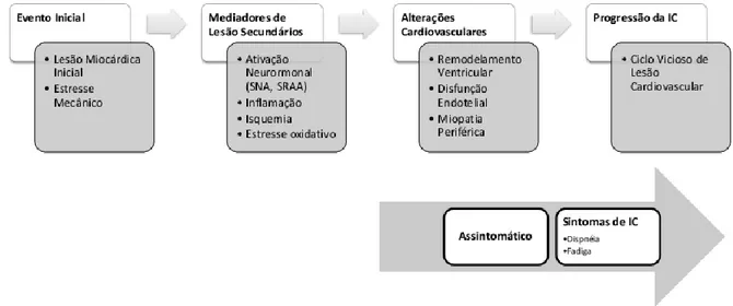 Figura 5: Mecanismo Fisiopatológico da Insuficiência Cardíaca. (Adaptado de Bochi E.A.)(45) 