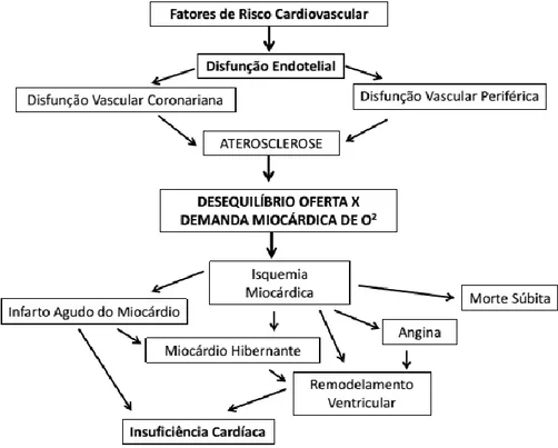 Figura 6: Mecanismo Fisiopatológico da Cardiopatia Isquêmica.(10, 13, 39, 45) 