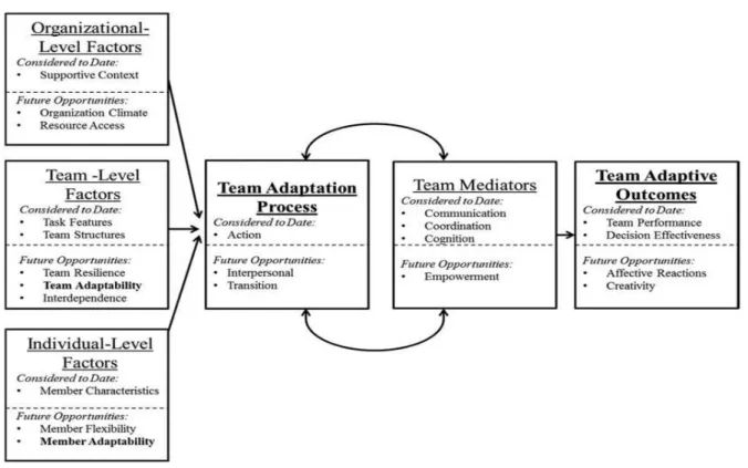 Figure 2. Team adaptation nomological network - Maynard, Kennedy and Sommer,  (2015). 