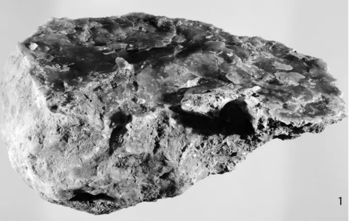Figure 11. 1: fl  int nodule CBR-523, probably crushed for quality inspection; 2: nucleus CBR-456; 3: scraper CBR-457.