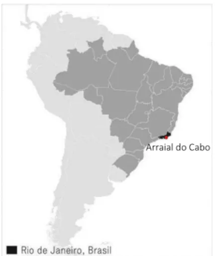 Figura 1: Situação do município de Arraial do Cabo, Rio de Janeiro, em relação à América do Sul