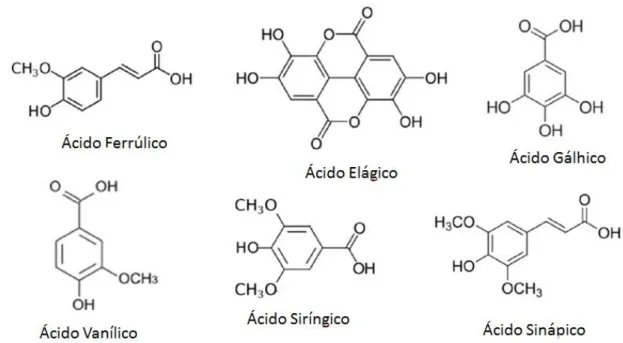 Figura 6 - Principais ácidos fenólicos presentes na madeira 