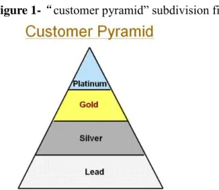 Figure 1- “ customer pyramid” subdivision figure 