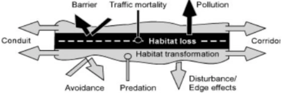 Figure I1: Schematics regarding five major ecological effects of road systems (Seiler, 2001)