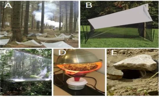 Figure I4: Examples of some of the most widely used arthropod sampling methods (A: Canopy fogging; B- Malaise Trap; 