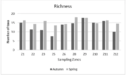 Fig. 8 - Variation richness values at each sampling site, during the Autumn and Spring sampling campaigns