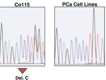 Figure 12. Electropherograms of TARBP2 mutant (Co115) and wild-type (PCa cell lines)  cells