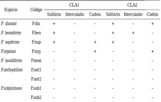 Tabela 3.  - Produção de clamidosporos em espécies de  Fusarium no meio de cravo, aos 20 dias de incubação sob o regime de escuro contínuo.