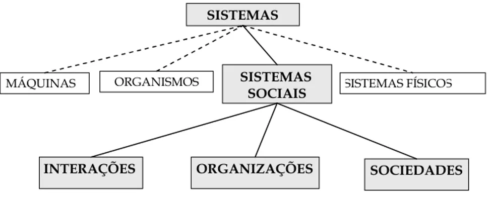 FIGURA 7 - Sistemas Sociais de Luhmann