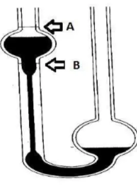 Figura  1:  Representação  do  viscosímetro de Oswald, usado para  medida do tempo de escoamento 