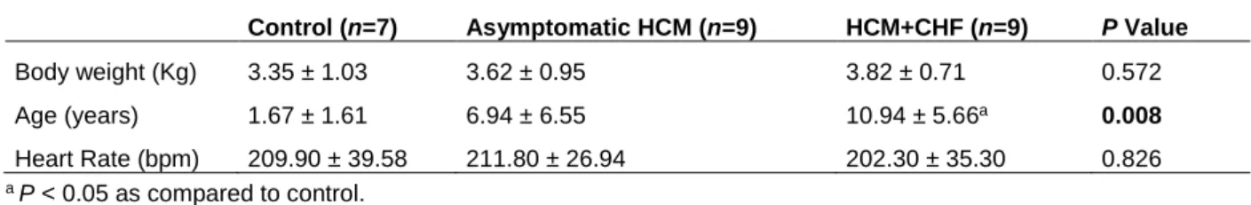 Table 1. Clinical data of all studied cats (n=25). Bolded values denote statistical significance