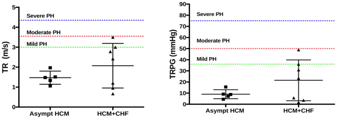 Figure 9. Scatter dot plots of TR and TRPG in the HCM group (Asymptomatic and HCM + CHF)