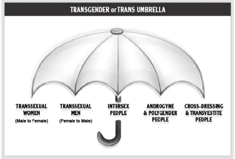 Figure 1 | Transgender Umbrella 