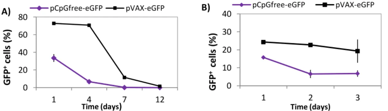 Figure 2: Transfection efficiencies of HEK293T cells and CGR8-NS cells using pCpGfree-eGFP and pVAX- pVAX-eGFP
