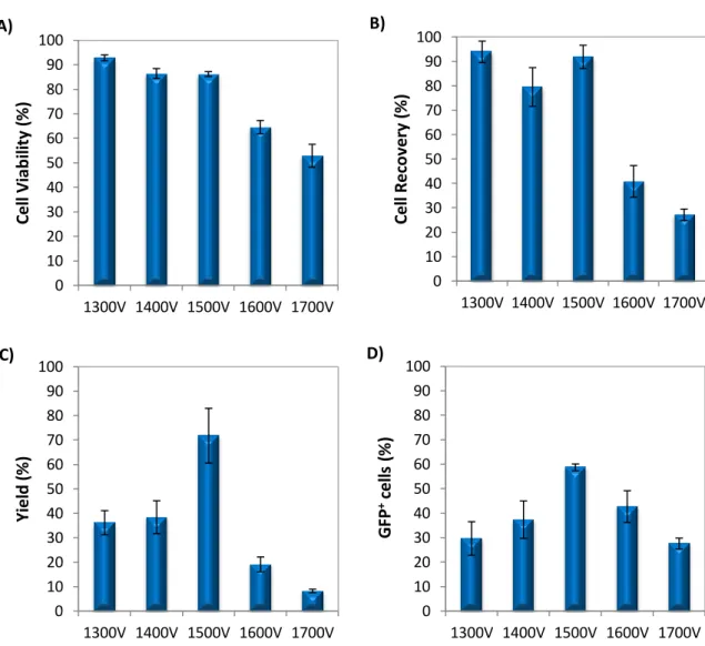 Figure 4: Transfection of CGR8-NSC resuspended in RB and microporated using 5 different voltages with  20 ms of duration and 1 pulse