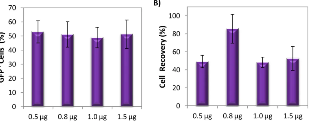 Figure  5:  Transfection  of  CGR8-NSCs  ressuspended  in RB  and transfected  using  different  amounts  of  pDNA and 1500V/20ms/1p as microporation parameters