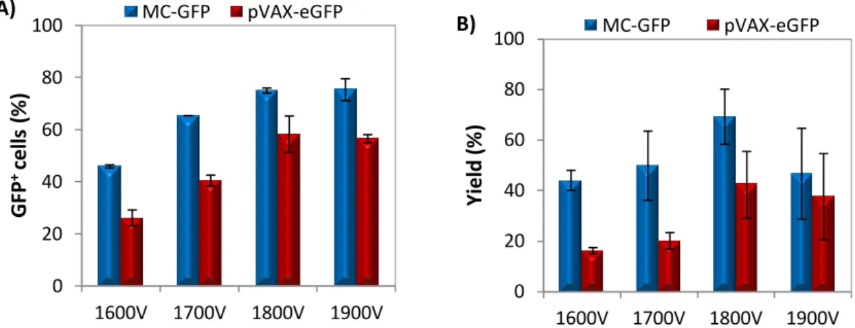 Figure  6:  Transfection  of  CGR8-NSCs  resuspended  in  HMB  and  microporated  using  different  voltages  with 20 ms of duration and 1 pulse