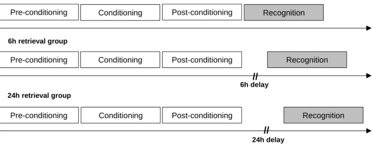 Figure  2.  Schematization  of  experimental  sessions  for  each  retrieval  group.  All  participants  went  through  three  consecutive  encoding  phases  (pre-conditioning,  conditioning,  post-conditioning)