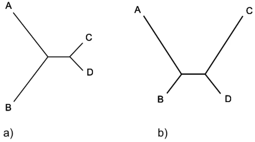 Figure 1 – a) A tree in the Farris zone. b) A tree in the Felsenstein zone. 