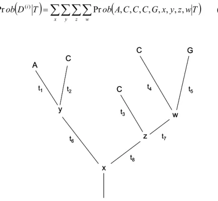 Figure 2 – Tree with branch lengths and data at a single site. In Felsenstein (2004) [1]