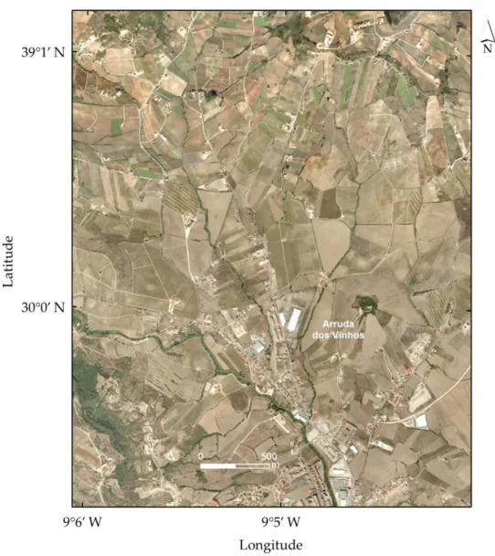 Figure 2. Sample of orthophoto acquired over the study area. 