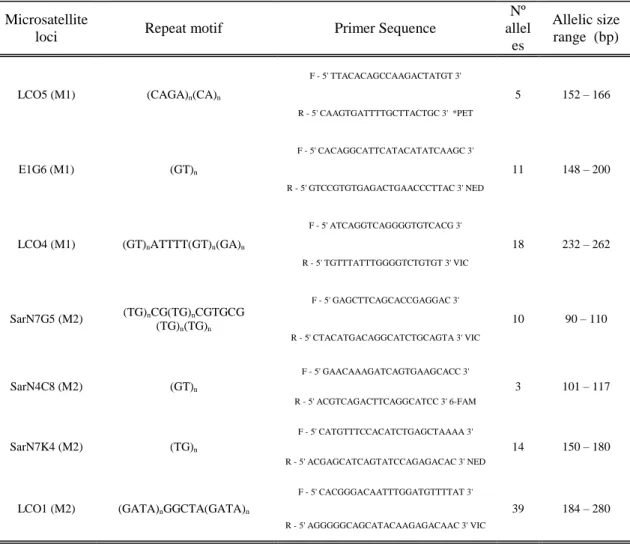 Table  III.  Microsatellites  loci  characterization:  repeat  motif,  primer  sequences,  flourochrome  labeling  information,  number of observed alleles and respective allelic range