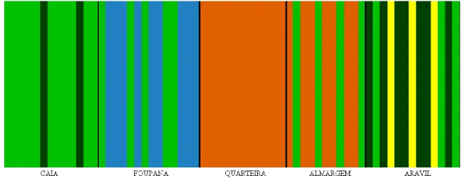 Figure  4.  Results  from  BAPS  4.1  software.  Geographic  populations  are  separated  with  black  lines  and  each  vertical  colored line corresponds to one individual and the group on which he was genetically placed