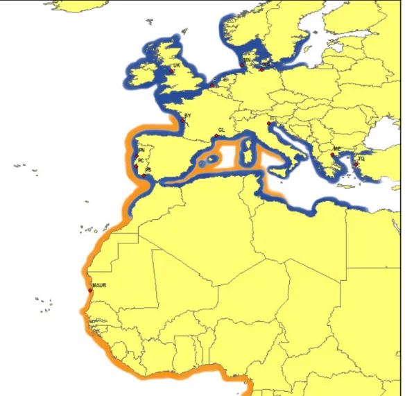 Fig. 1- Sampling areas for each species analysed in this study and their distribution  range  (blue  –  S