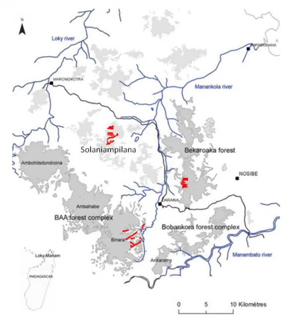 Figure 2: Trapping locations for the individuals sampled in this study. The map above shows the  area  of  Daraina  and  the  different  forest  fragments  sampled;  the  red  dots  are  the  geographic  locations  where individuals were captured