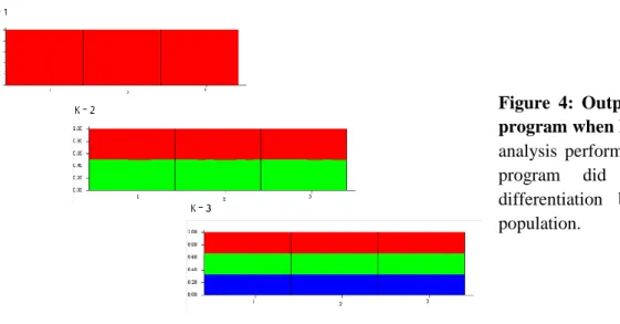 Figure  4:  Output  from  Structure  program when k=1, 2 and 3. In the  analysis  performed  in  structure,  the  program  did  not  detect  any  differentiation  between  the  three  population