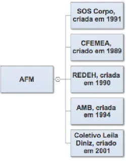 Figura 8- OSCs do Brasil dentro da AFM 