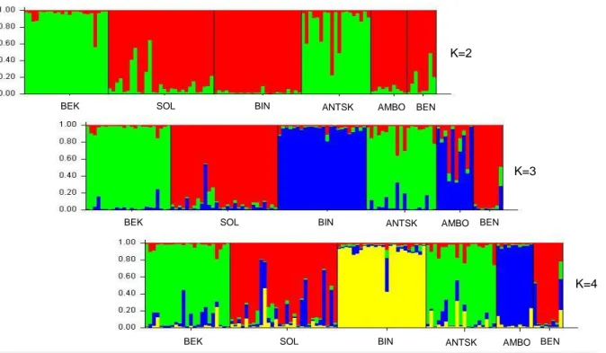 Fig. 7- AS11 - STRUCTURE 2.3.4 Bar plot output for cluster 1, 2 and 3 respectively when K=1 and K=2.