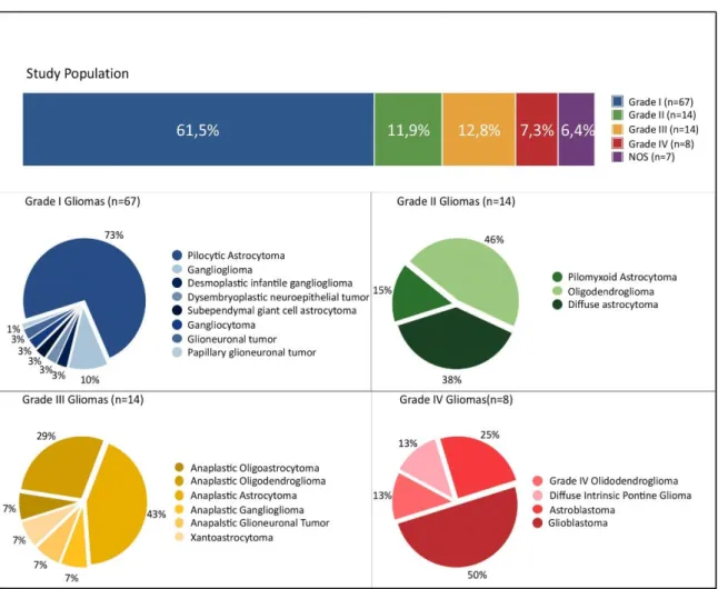 Figure  III.2  –  Representation  of  the  study  population.  The  graphic  “Study  Population”  (on  top)  represents all the studied gliomas (in the context of this work) by WHO Grades