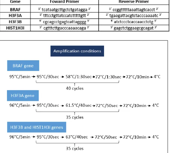 Figure  III.5  -  Programs  used  for  PCR  amplification  of  BRAF,  H3F3A,  H3F3B  and  HIST1H3I genes