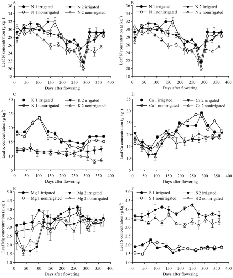 Figure 6. Concentrations of nitrogen (A), phosphorus (B), potassium (C), calcium (D), magnesium (E), and sulphur (F), in  the leaves of irrigated and nonirrigated conilon coffee plants, starting at flowering stage, in two consecutive crop seasons  (Year 1 