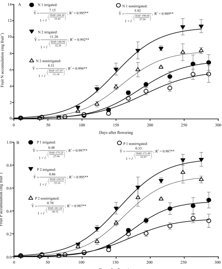 Figure 2. Accumulation of  nitrogen (A) and phosphorus (B) in fruit of irrigated and nonirrigated conilon coffee (Coffea  canephora) plants, from flowering to fruit ripening, in two consecutive crop seasons (Year 1 – N 1, P 1; Year 2 – N 2, P 2), in  the A