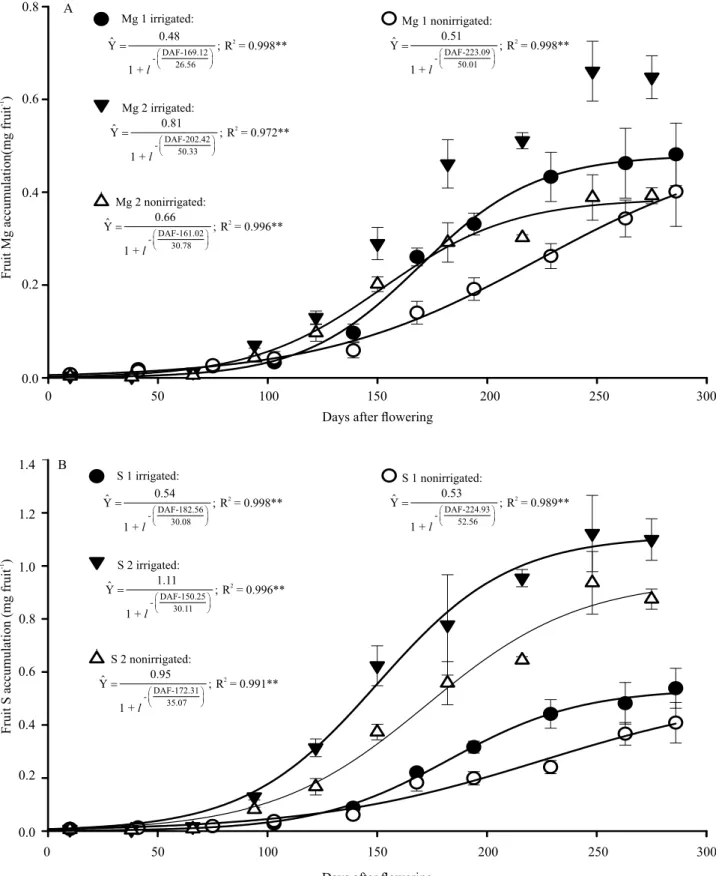 Figure 4. Accumulation of magnesium(A) and sulphur (B) in fruit of irrigated and nonirrigated conilon coffee (Coffea  canephora) plants, from flowering to fruit ripening, in two consecutive crop seasons (Year 1 – Mg 1, S 1; Year 2 – Mg 2, S 2), in  the Atl