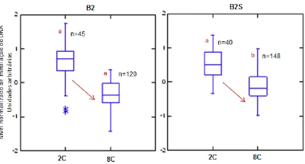 Figura  3.3:  Nível  normalizado  da  metilação  do  DNA  em  embriões  de  coelho  cultivados  in vitro em meio B2 e B2 suplementado com soro fetal bovino (B2S)