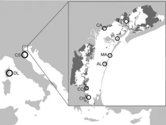 Figure 1. Sampling sites of the specimens used in the genetic analysis. AL = Alberoni; CA = Campalto; CH = Chioggia;