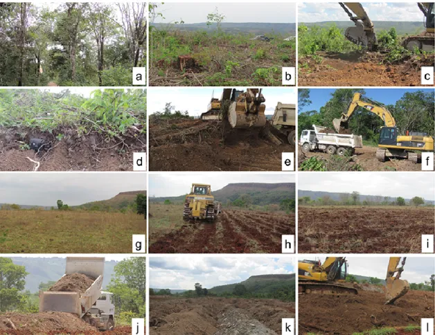 Figura 2. Etapas da transposição da camada superficial do solo de Floresta Estacional Decidual,  Região da Fercal, Distrito Federal, Brasil