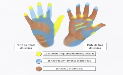 Figura 7 – Zonas das mãos mais frequentemente esquecidas durante a higienização (Sprenger, 2005 